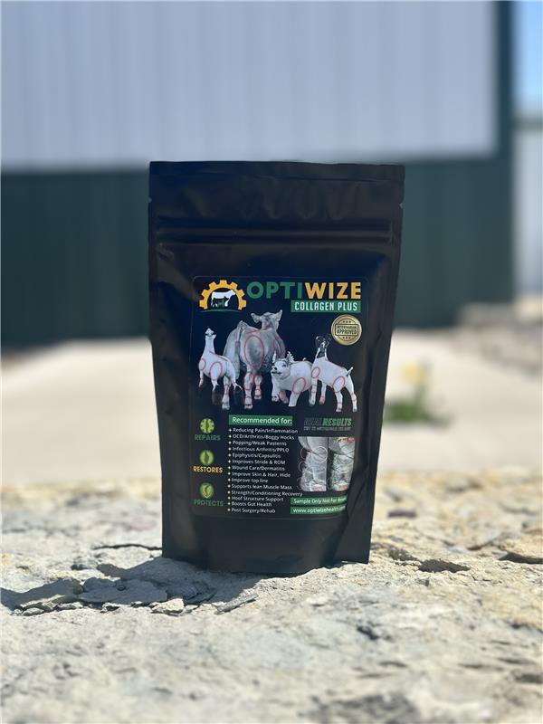 OPTIWIZE