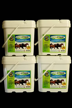 Cetyl Extreme for Horses