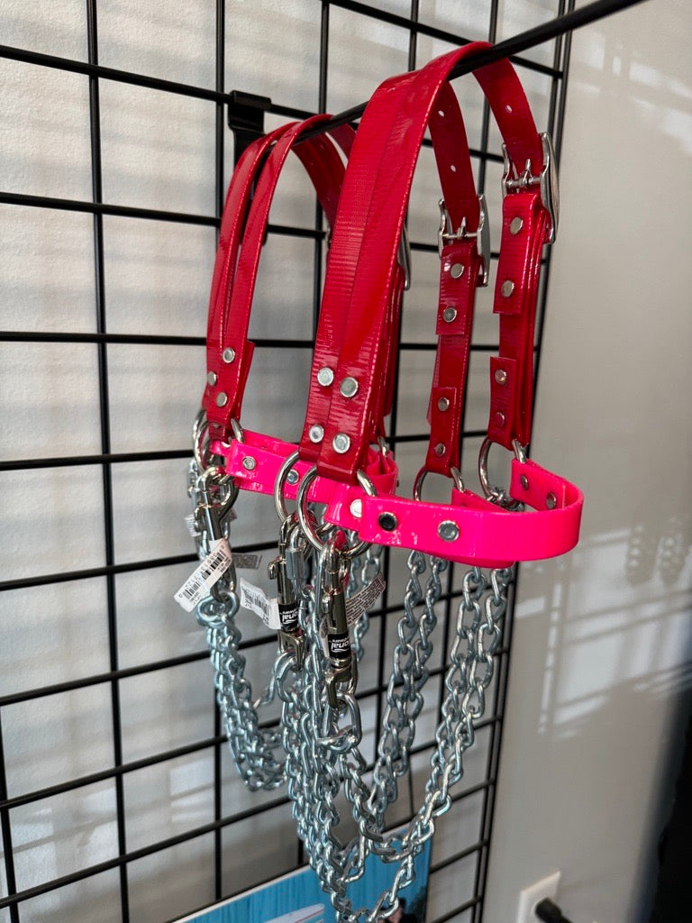 Chain Halters with Long Chains