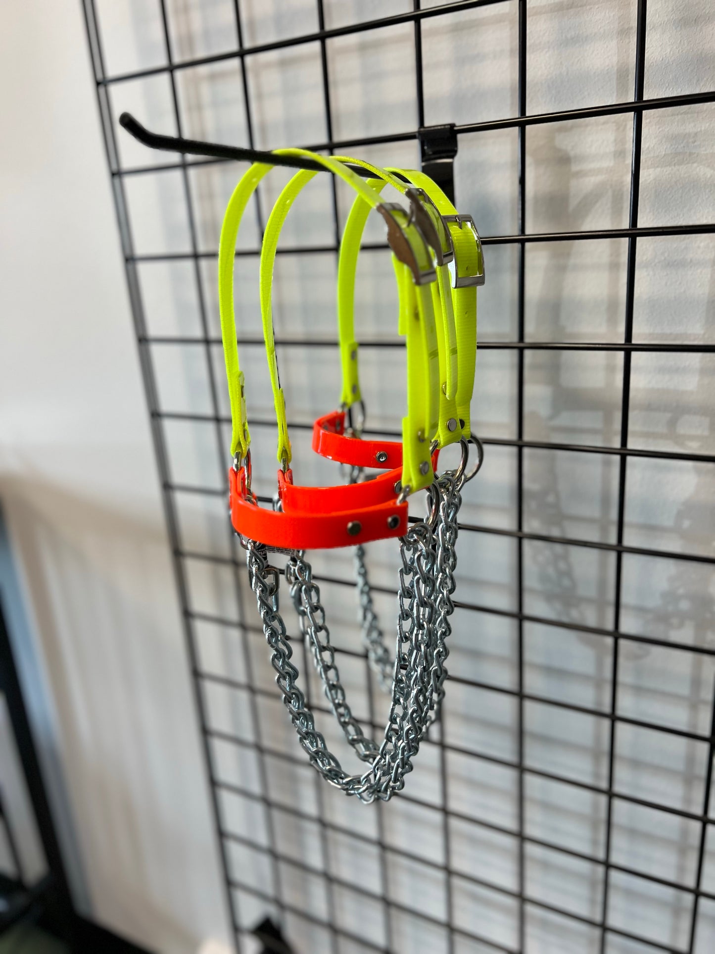 Sheep Chain Halters