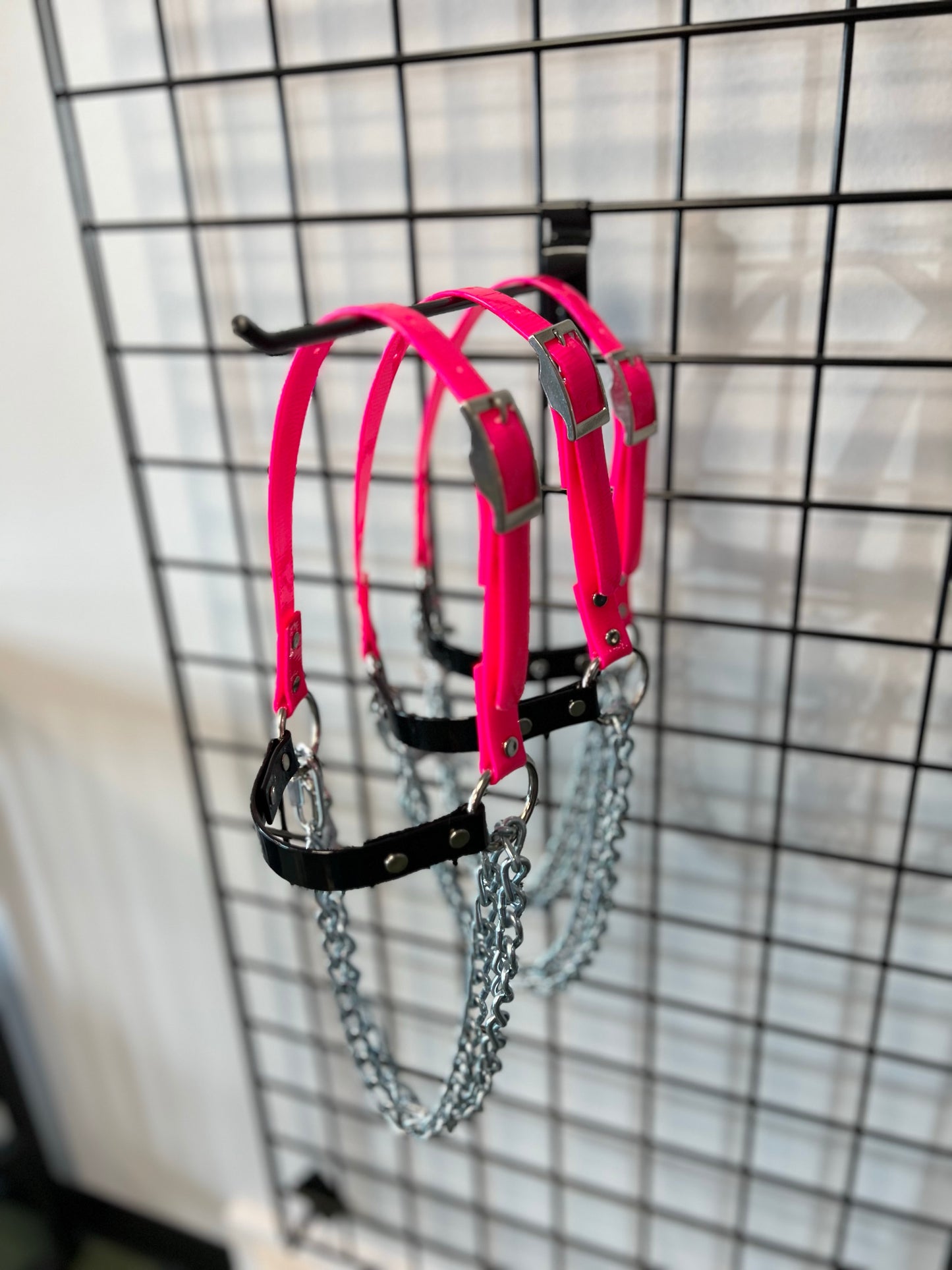 Sheep Chain Halters