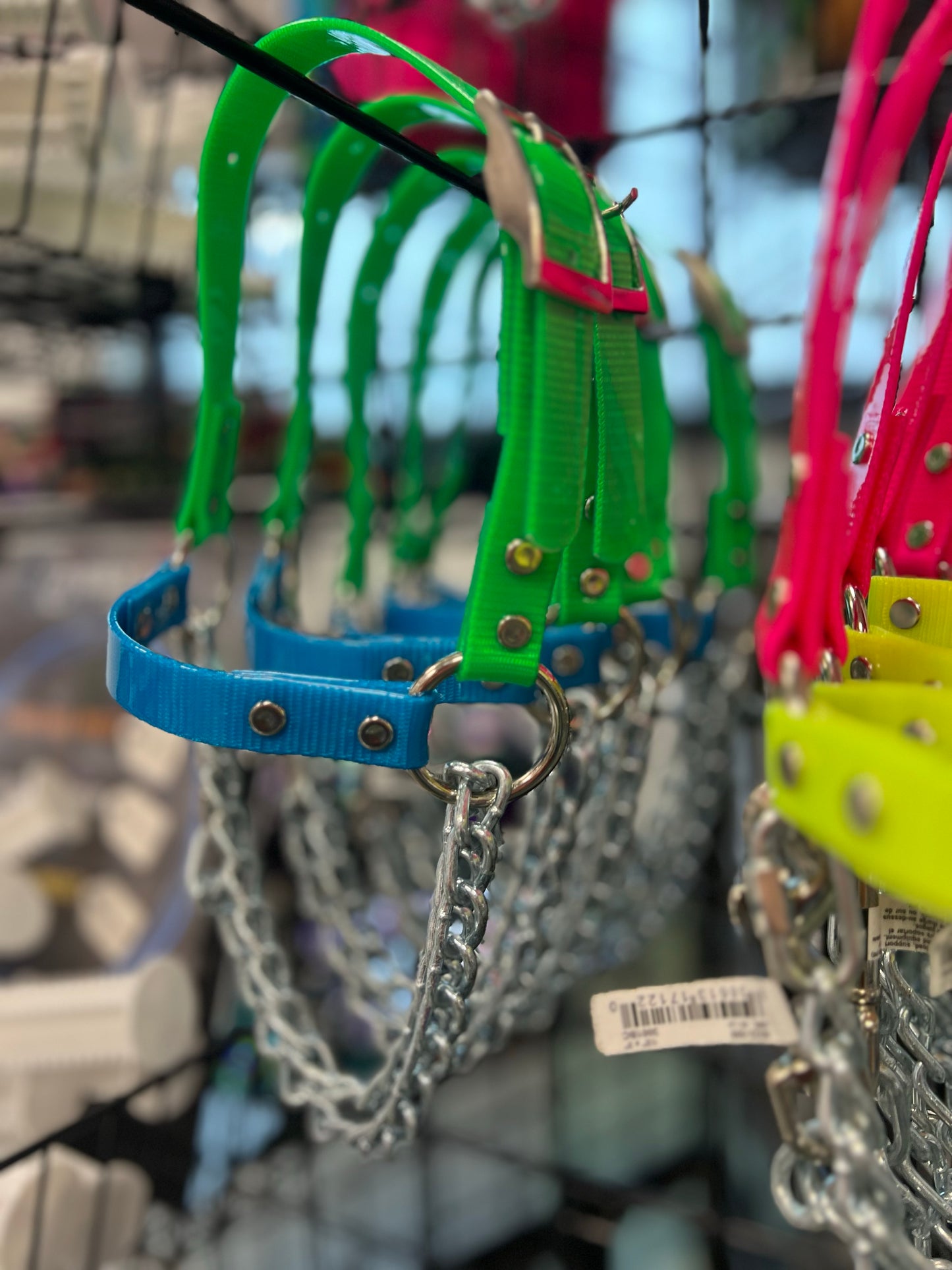 Goat Chain Halters