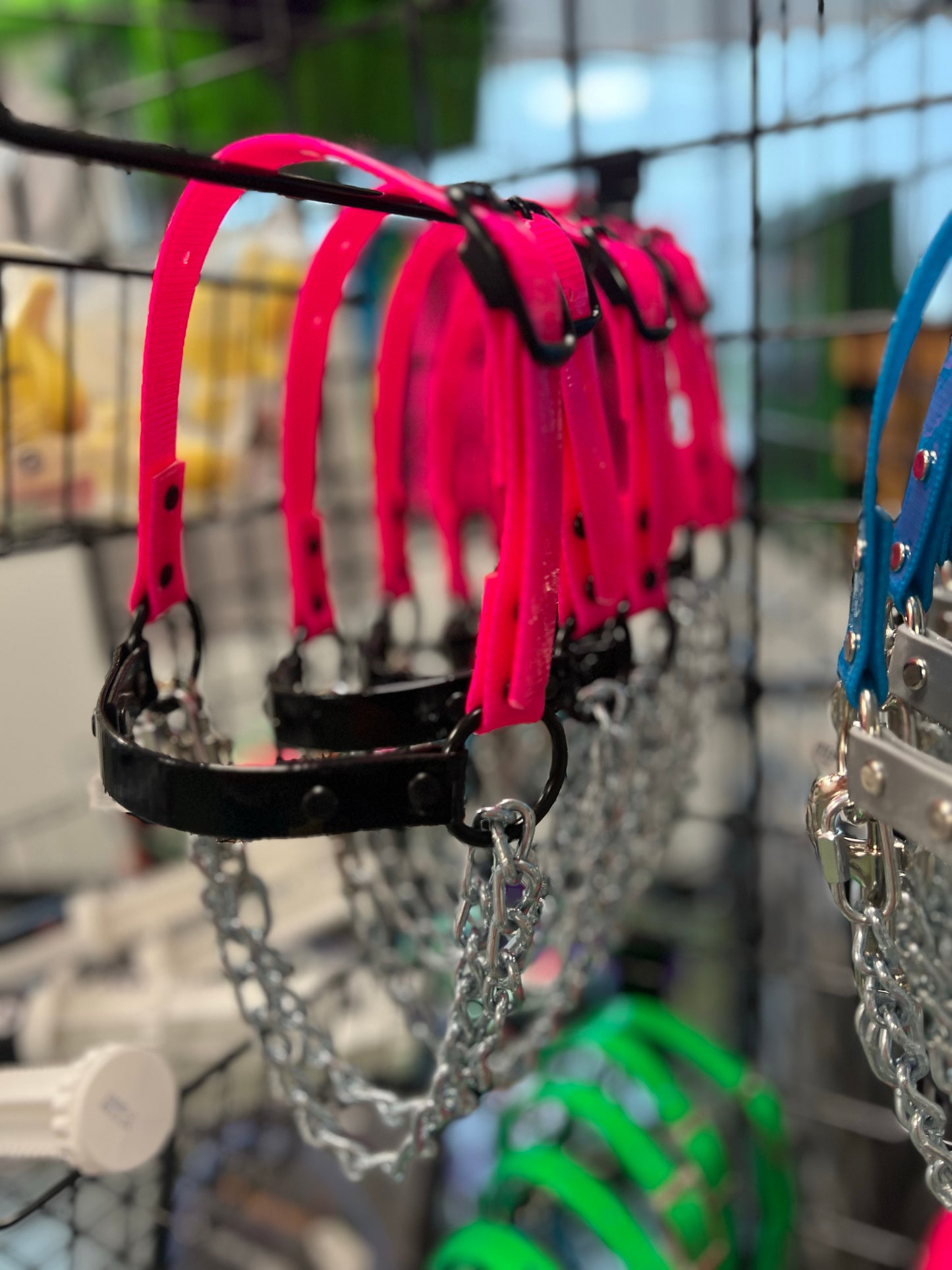 Goat Chain Halters