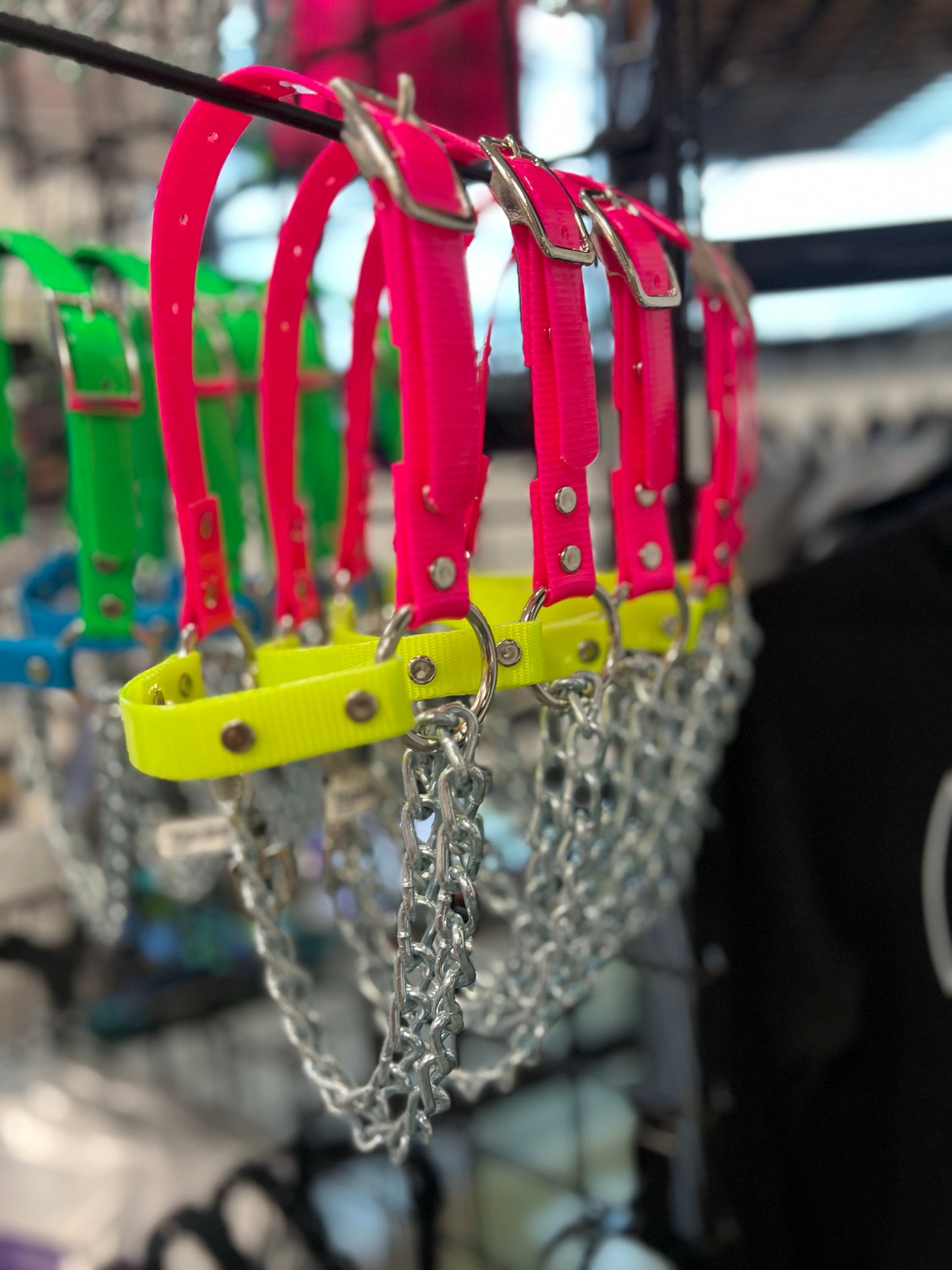 Goat Chain Halters