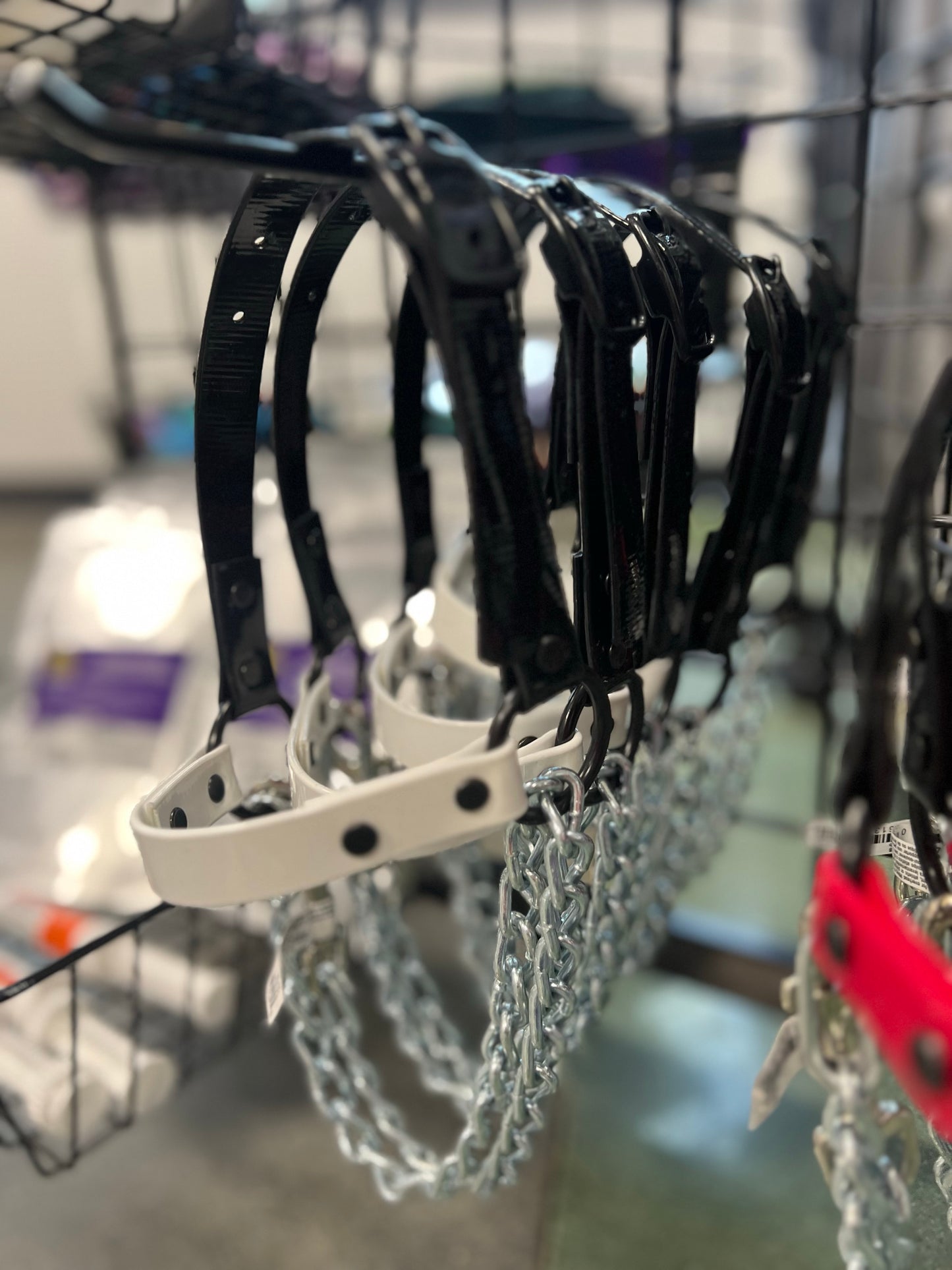 Goat Chain Halters