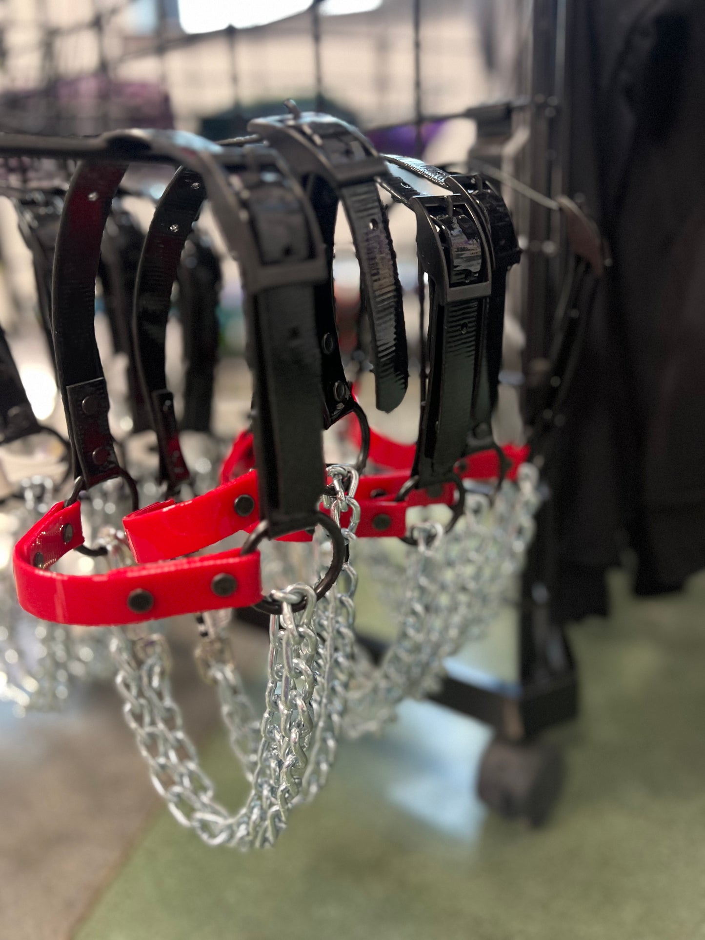 Goat Chain Halters