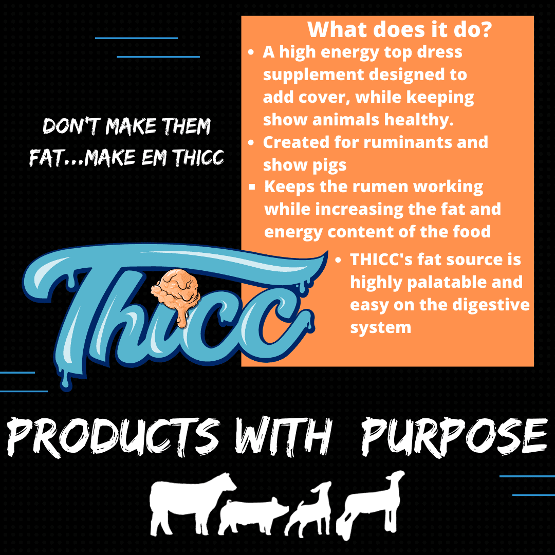 Thicc