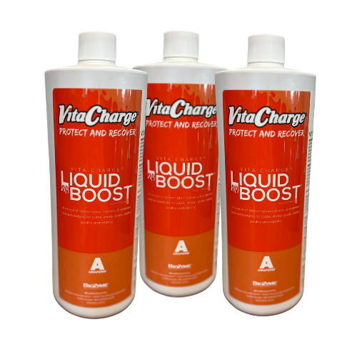 Vita Charge Liquid Boost