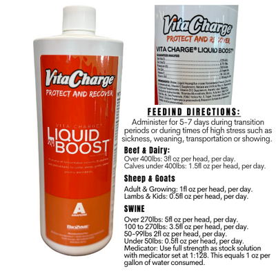 Vita Charge Liquid Boost