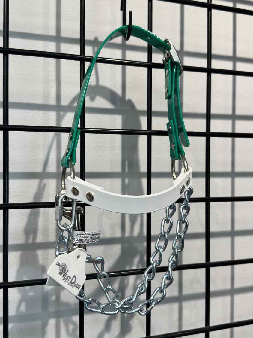 Goat Chain Halters