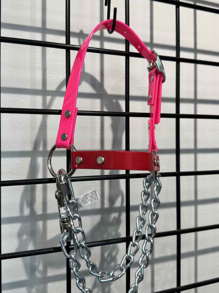 Goat Chain Halters