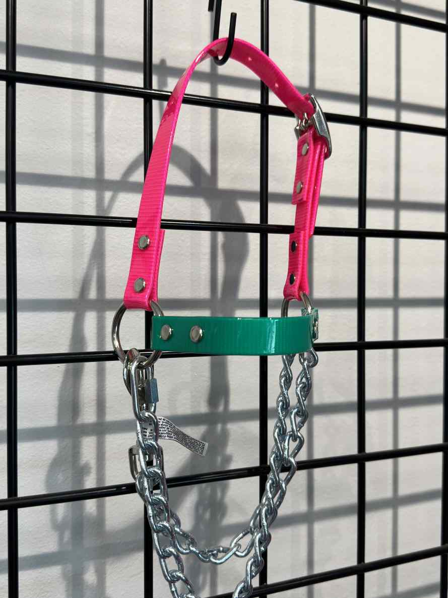 Goat Chain Halters