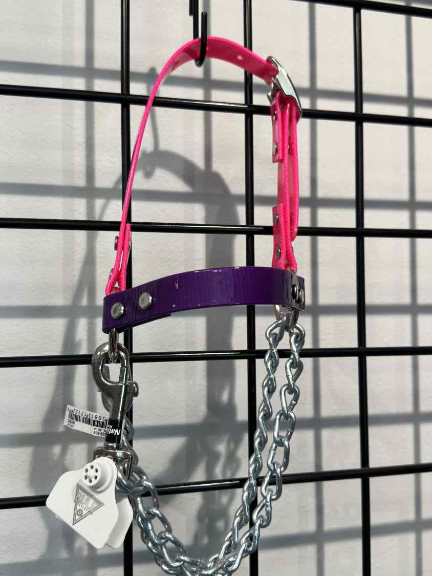 Goat Chain Halters