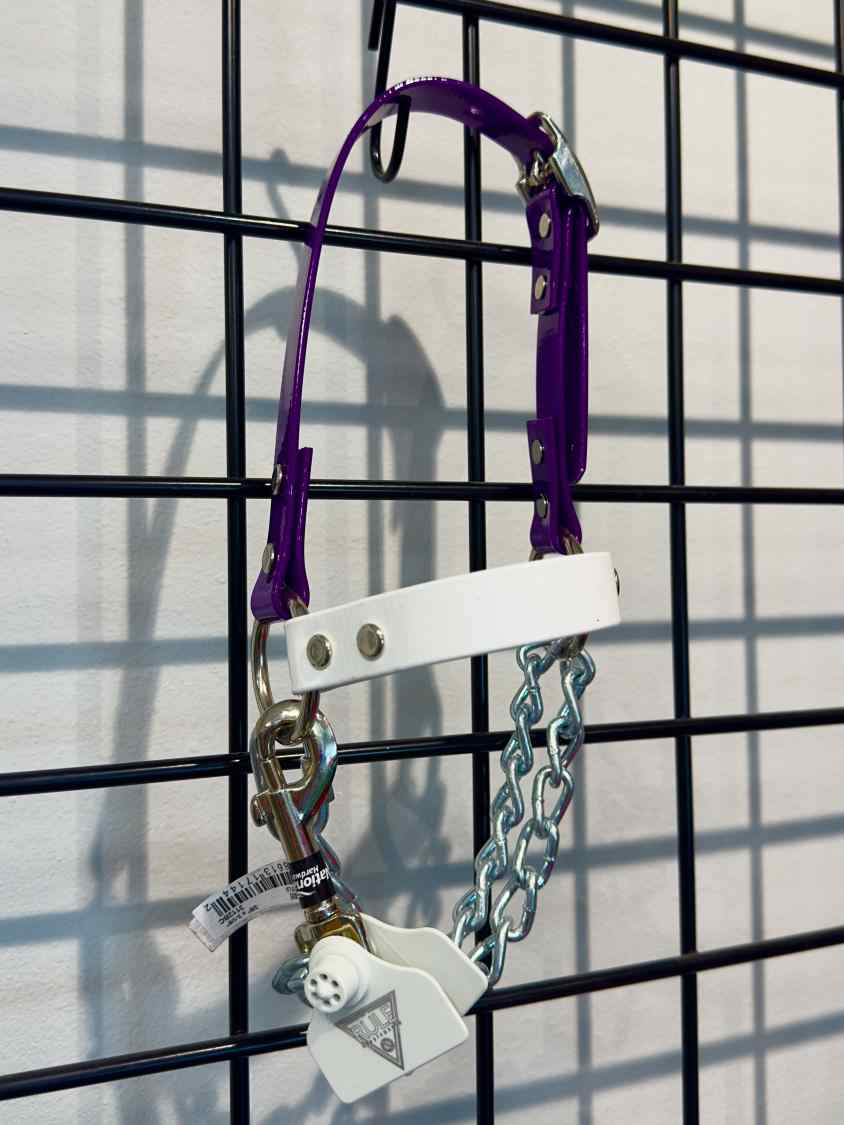 Goat Chain Halters