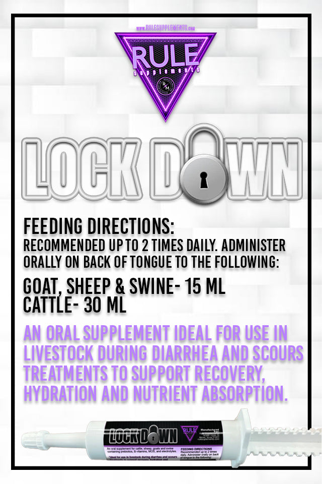 Lock Down – RuleSupplements
