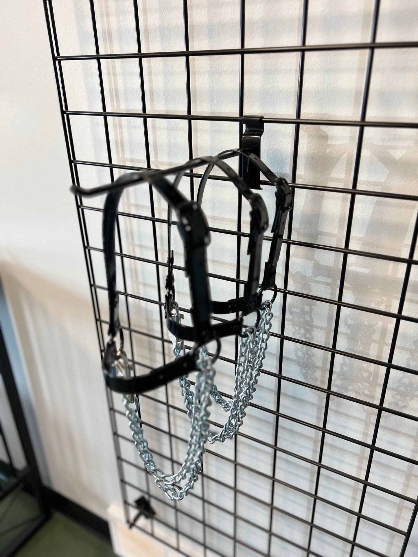 Chain Halters with Long Chains