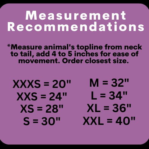 Blanket Measurement Guide