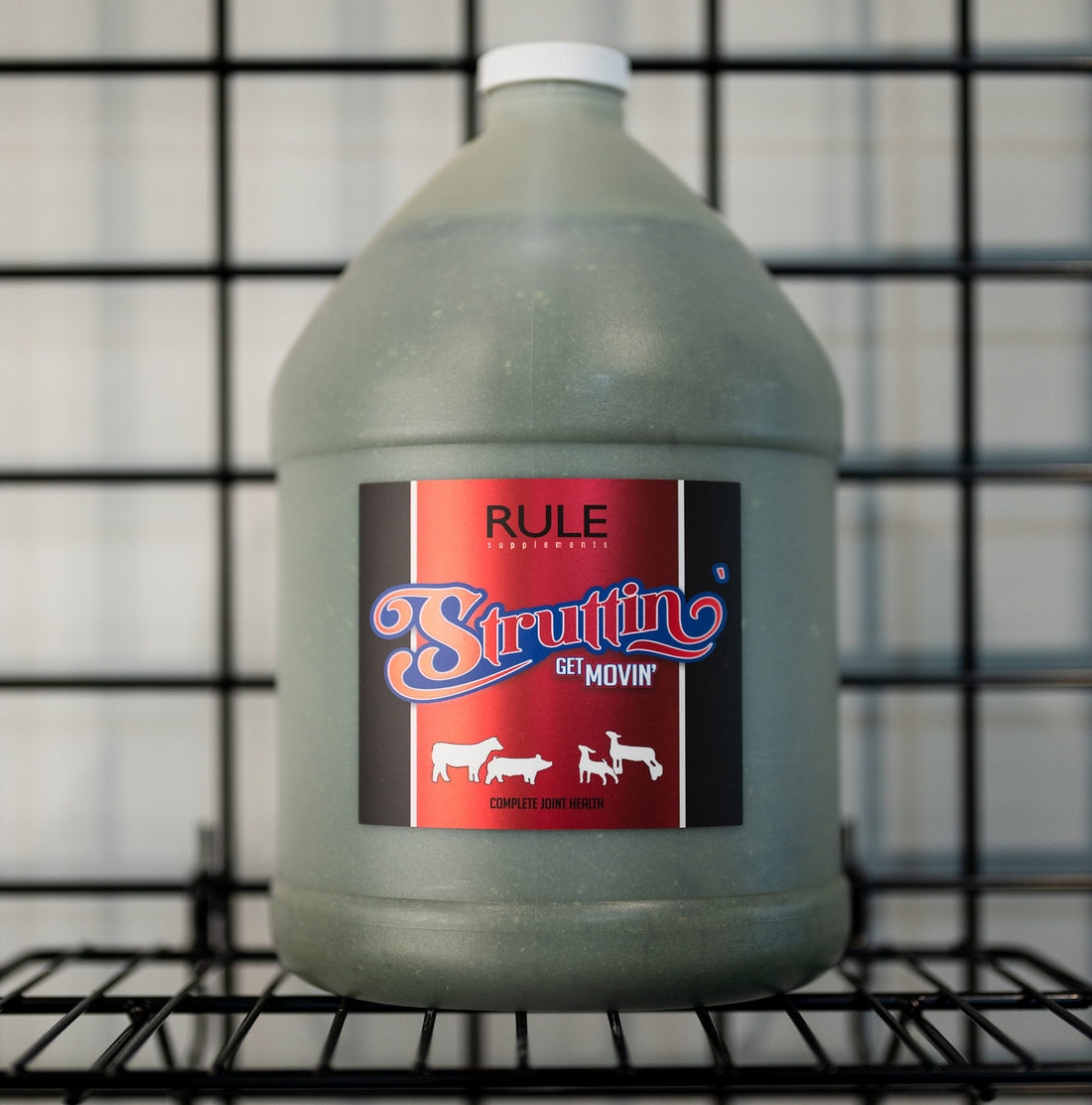 Struttin – RuleSupplements